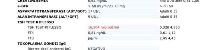Eutirox con integratore di ferro si può???? - 1