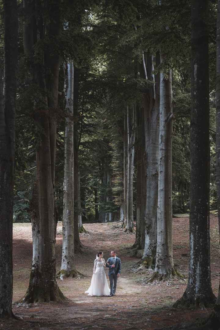 Matrimonio tra lago, montagne e bosco - 4
