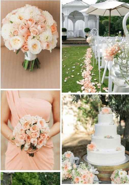 Fiori❓ - 6