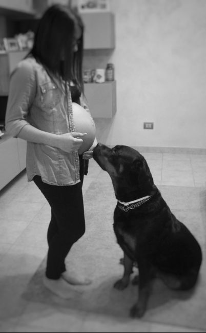 Mostrate le vostre pance 🤰😁 - 1