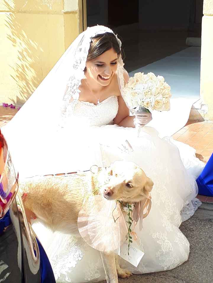 Il mio sogno..uno spettacolo! 28-06-2018 - 4