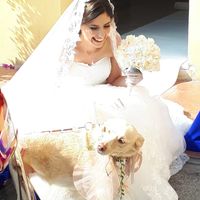 Il mio sogno..uno spettacolo! 28-06-2018 - 4