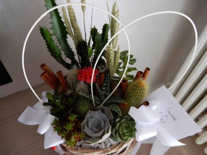 le prime piante a casa