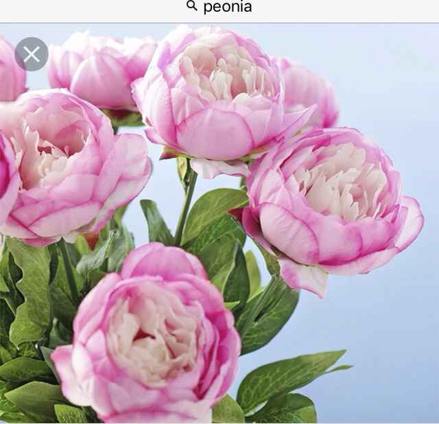 I miei fiori !!!! - 2