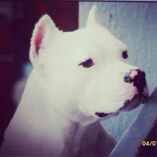 Vi presento nina! - 1