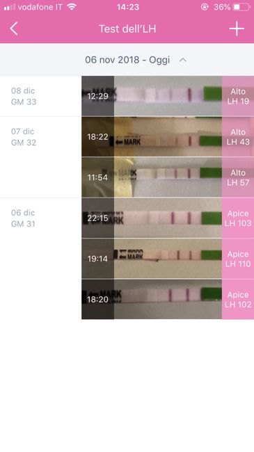 Test ovulazione positivi e ciclo in arrivò 2