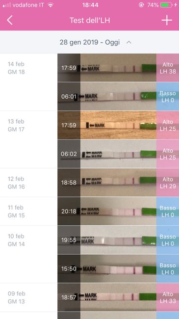 Test ovulazione, ovuli, etc.. 2
