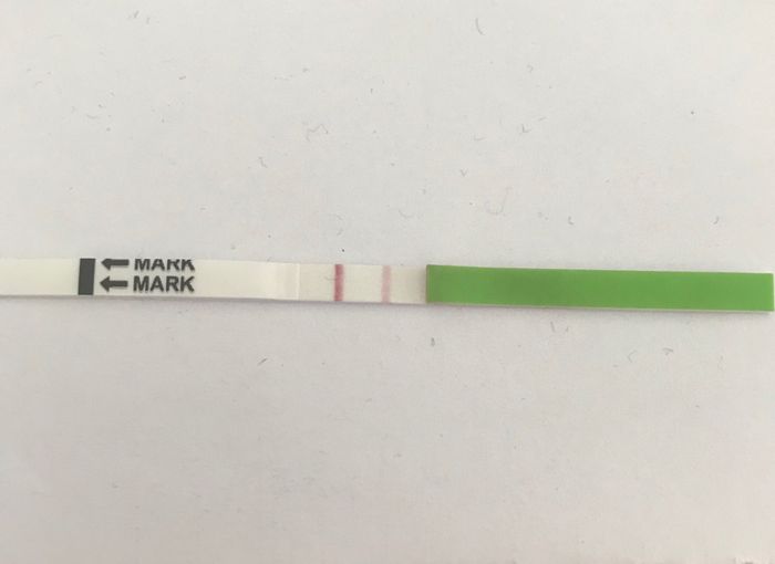 Test ovulazione e ovaie multifollicolari 2