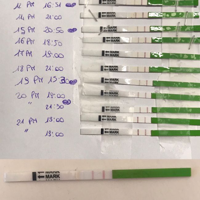 Test ovulazione e ovaie multifollicolari 1