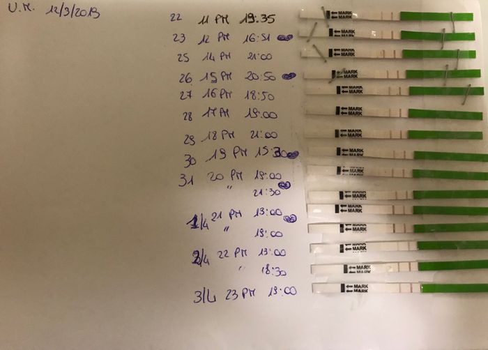 Test ovulazione e ovaie multifollicolari 8