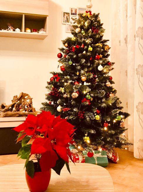 Il natale è arrivato anche qui 😍 5