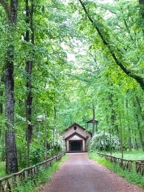 Luogo della cerimonia ❤️ - 1