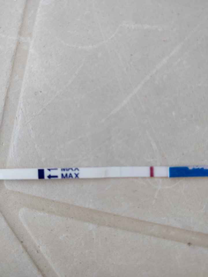 Chi non le aspetta per luglio 2020 🍀🐞🤞🌈🌻 - 1