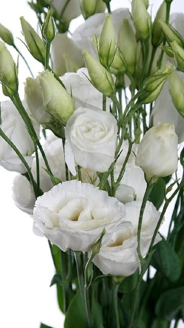Allestimenti floreali e bouquet scelti 😍 - 3