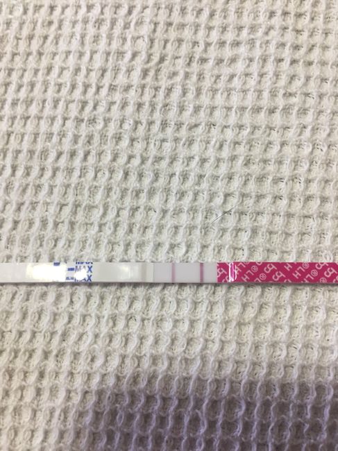 Aiuto ovulazione (scusate la lunghezza) 3