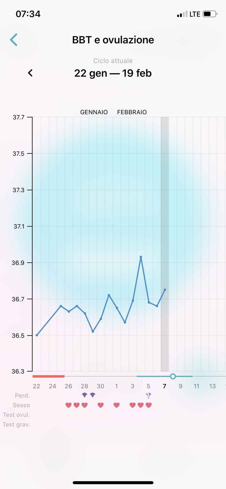 Temperatura basale nel pm. Aiuto. - 1