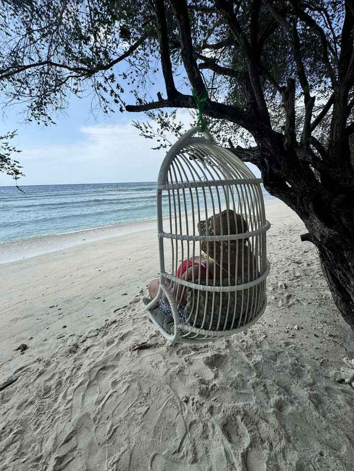 Viaggio di nozze sos - 1