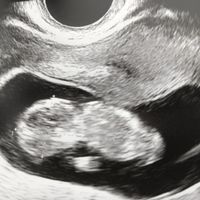 Future Mamme Settembre 2021😍 - 1