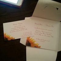 Partecipazioni "sfacciate" - 1