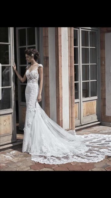 vela collezione 2019 - 4