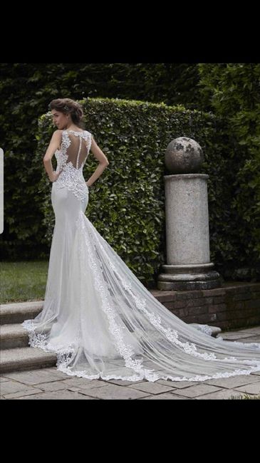 vela collezione 2019 - 7