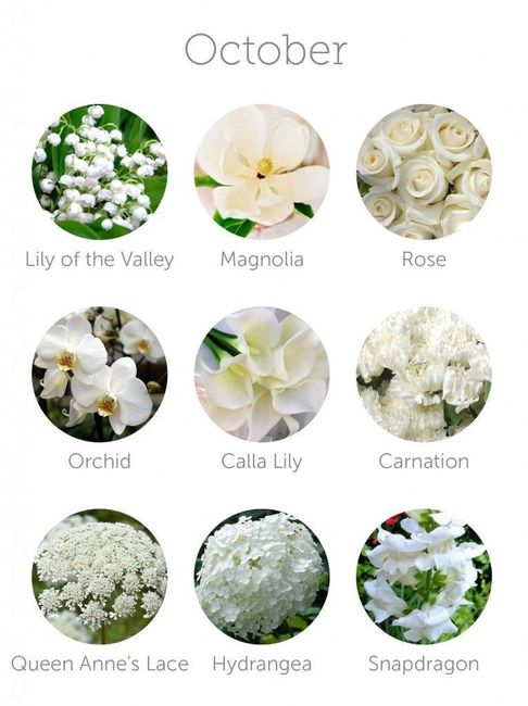 fiori sposa - 9
