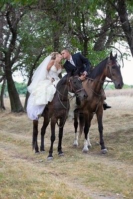 Carrozza Cavalli - 3