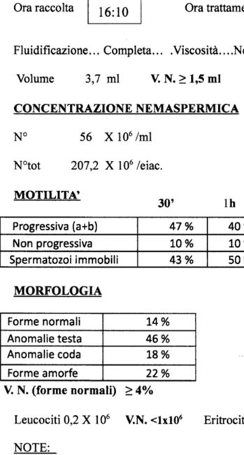 Per chi non le aspetta ottobre, novembre e dicembre 2024🍀🐞 3