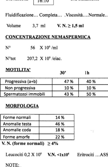 Per chi non le aspetta ottobre, novembre e dicembre 2024🍀🐞 4