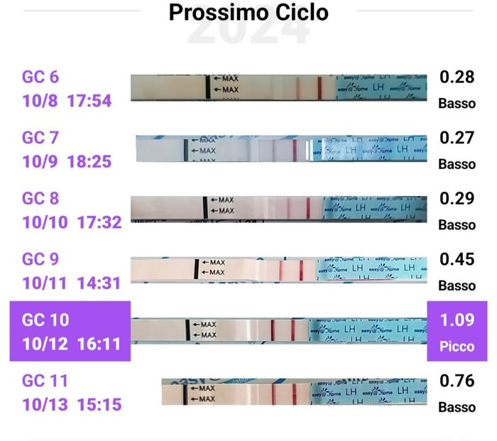 Per chi non le aspetta ottobre, novembre e dicembre 2024🍀🐞 5