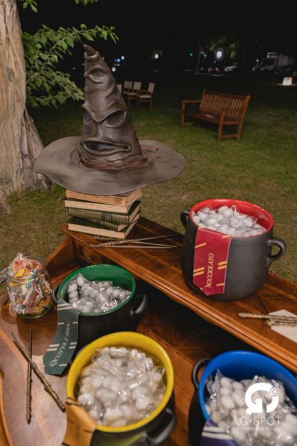 Matrimonio tema Harry Potter 9