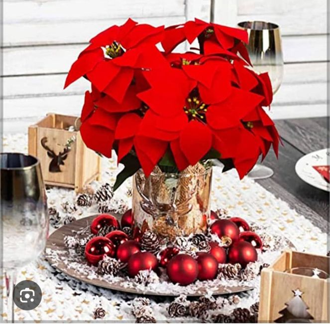 Natale 2026 🎄 Spose a tema natalizio + idee fai da te? 💍✨ 8