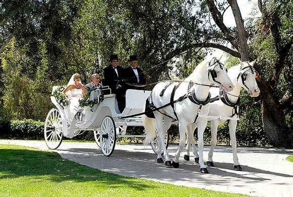 Carrozza Cavalli - 1