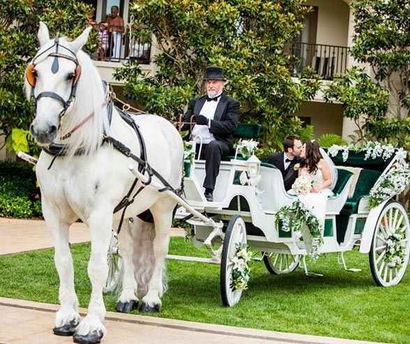 Carrozza Cavalli - 3