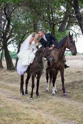 Carrozza Cavalli - 3