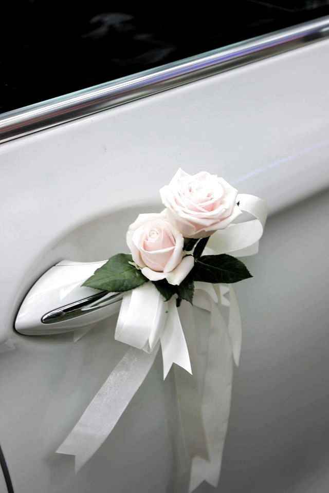 decorazione automobile - 4