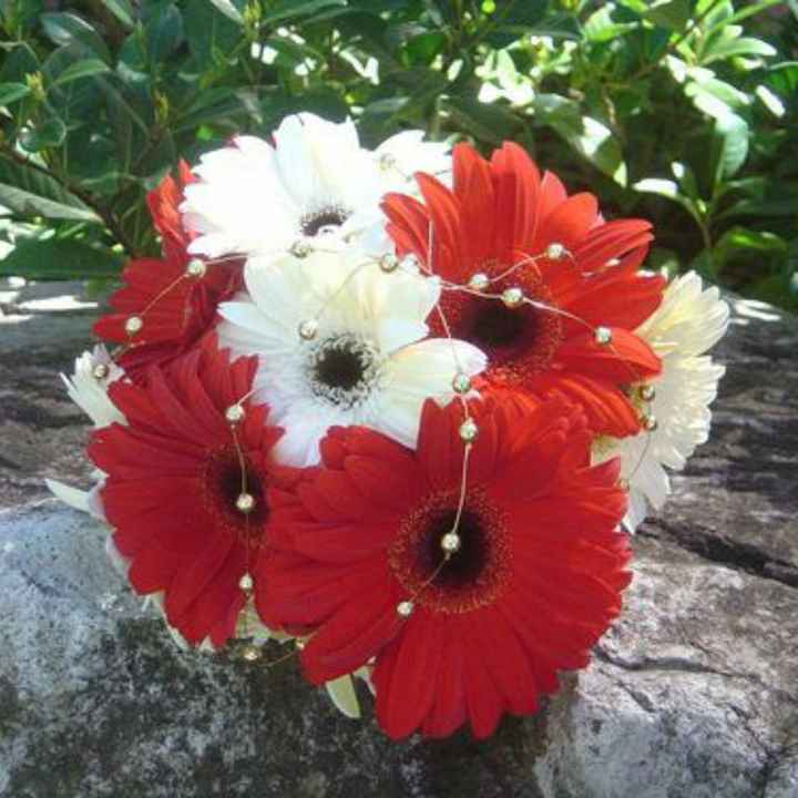 gerbera come Bouquet? - 6