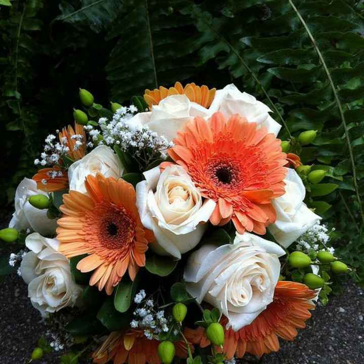 gerbera come Bouquet? - 8