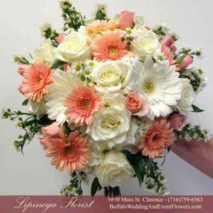 gerbera come Bouquet? - 9