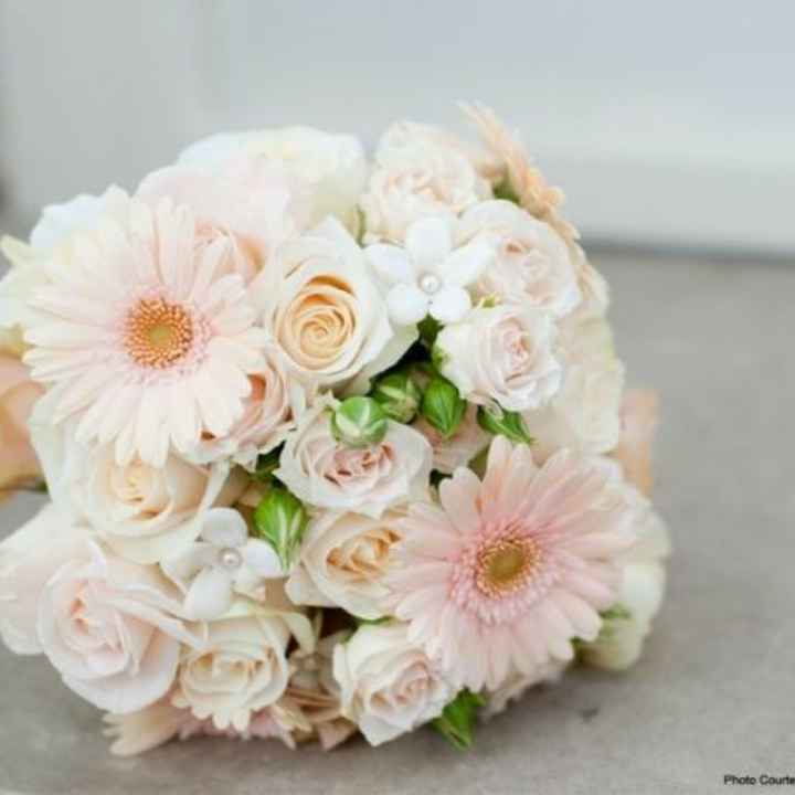 gerbera come Bouquet? - 11
