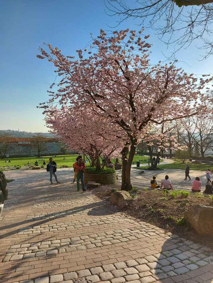 Foto Anteprima😍 - 2