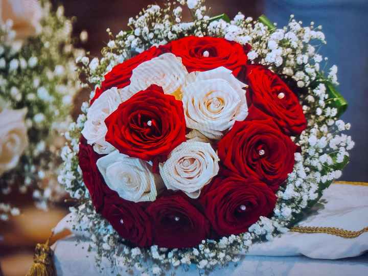 Le rose non sono tutte uguali - 1