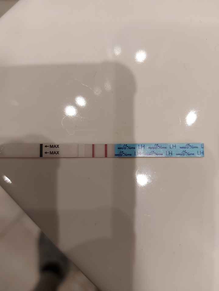 Per chi non le aspetta Aprile/maggio 2024🍀🐞 - 1