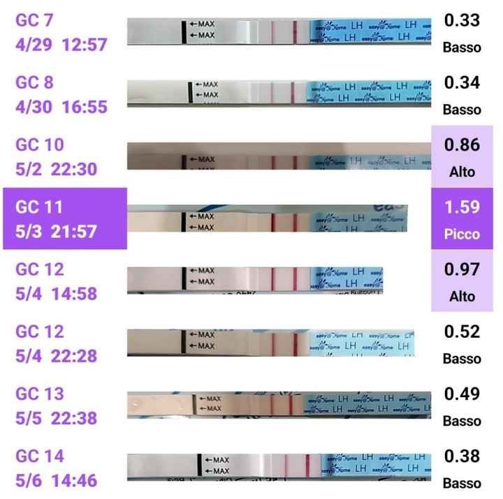 Per chi non le aspetta Maggio,Giugno,Luglio 2024🍀🐞 - 1