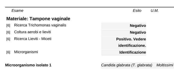 Per chi non le aspetta Maggio,Giugno,Luglio 2024🍀🐞 - 1