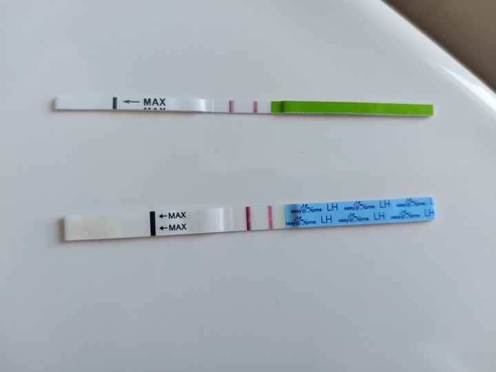 Per chi non le aspetta Maggio,Giugno,Luglio 2024🍀🐞 - 2