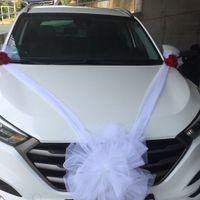 Decorazioni auto - 1