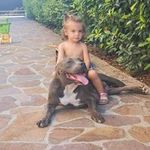 Enzo