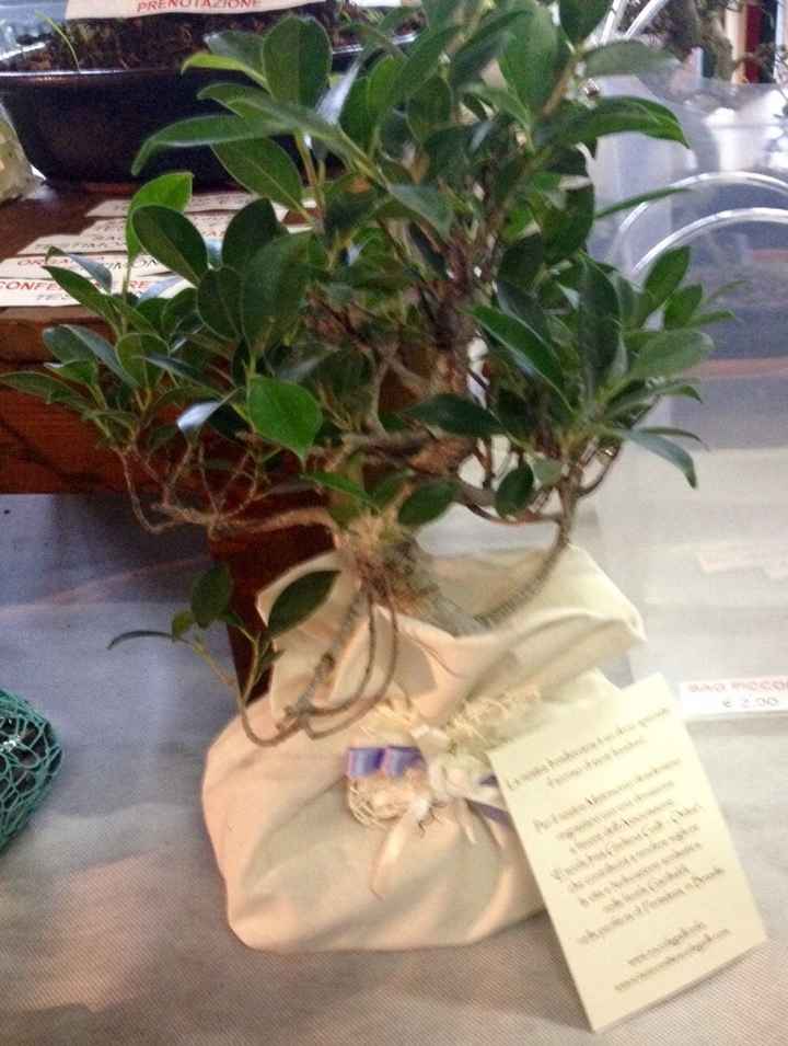 Bomboniere prenotate!!! - 1