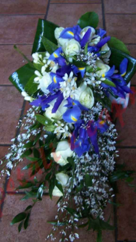 Il bouquet dei miei sogni - 1
